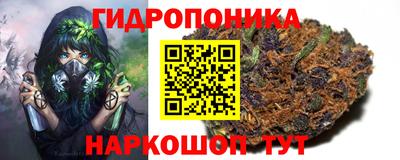 мяу мяу мука Берёзовский