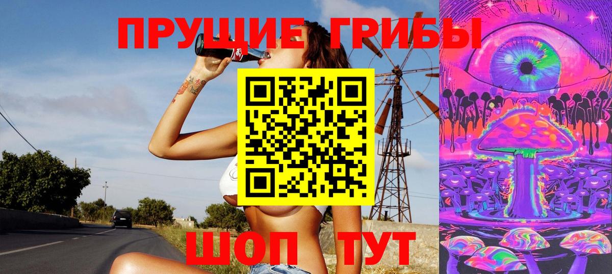 Псилоцибиновые грибы мицелий Великие Луки