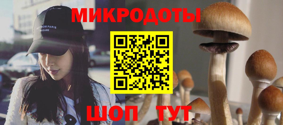 Псилоцибиновые грибы мухоморы  Вход с VPN  цены наркотик  Великие Луки 
